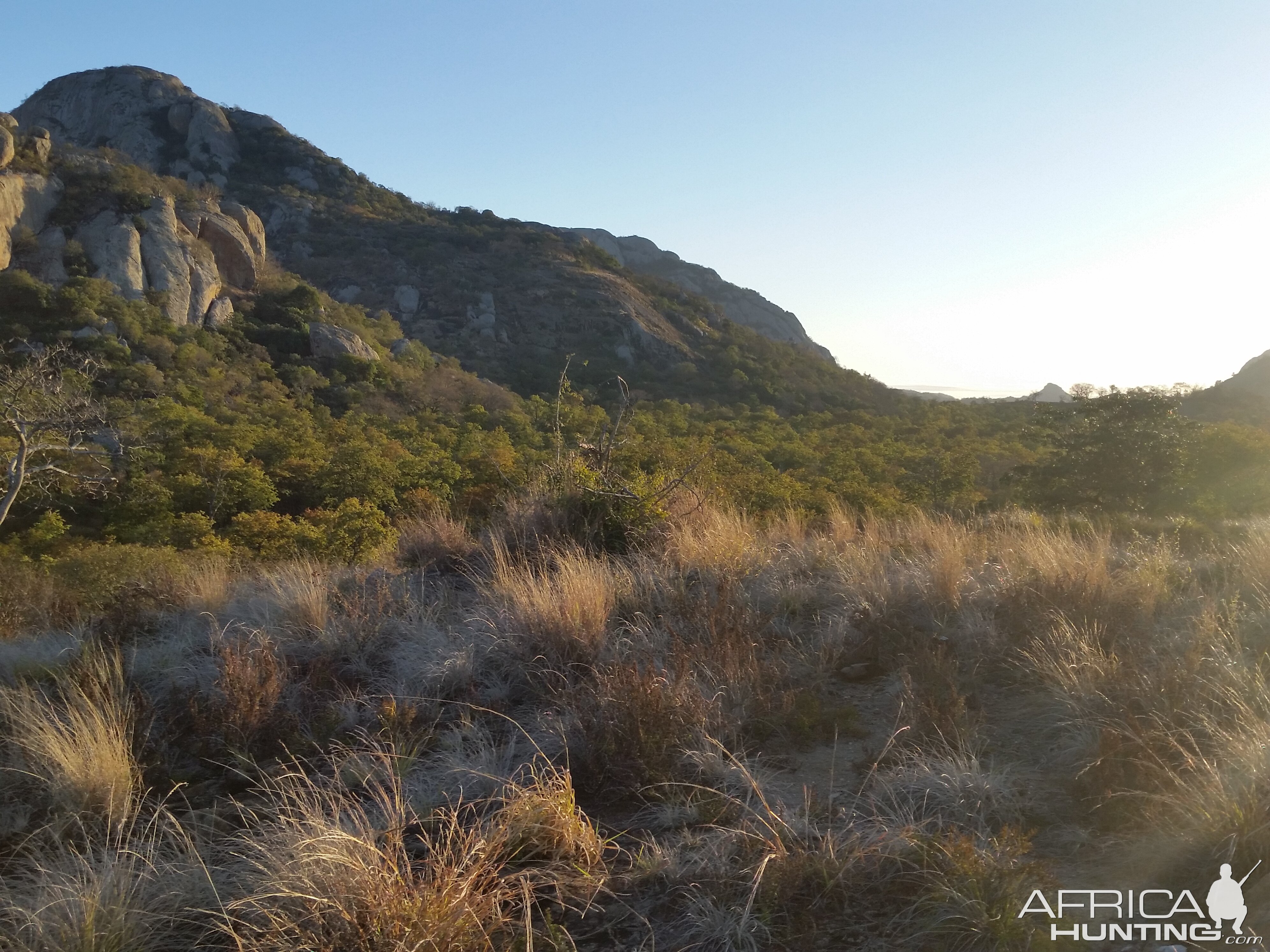 Zimbabwe Hunting Area