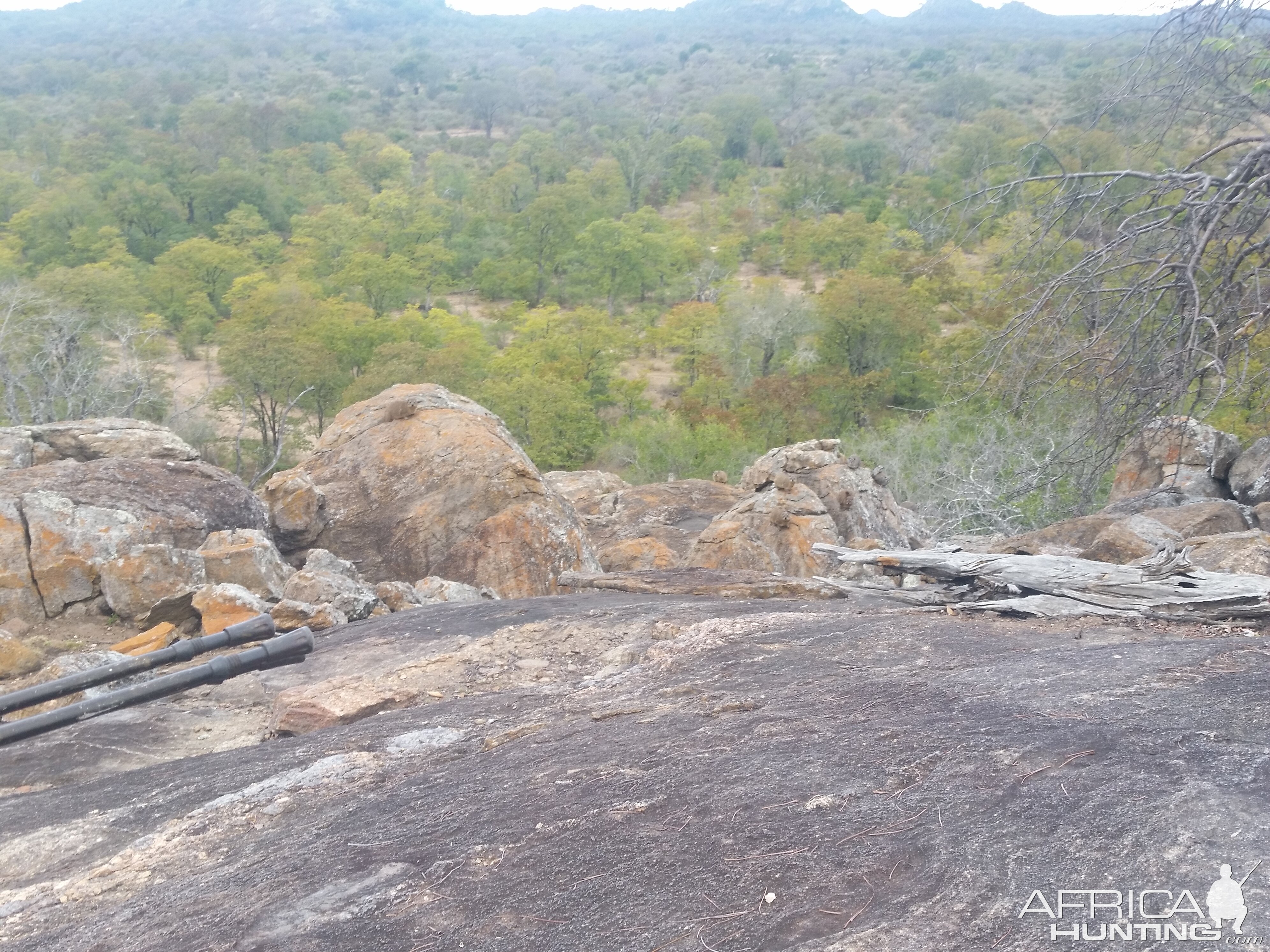 Zimbabwe Hunting Area