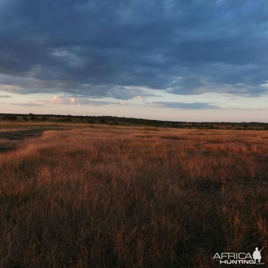 Zimbabwe Hunting Area