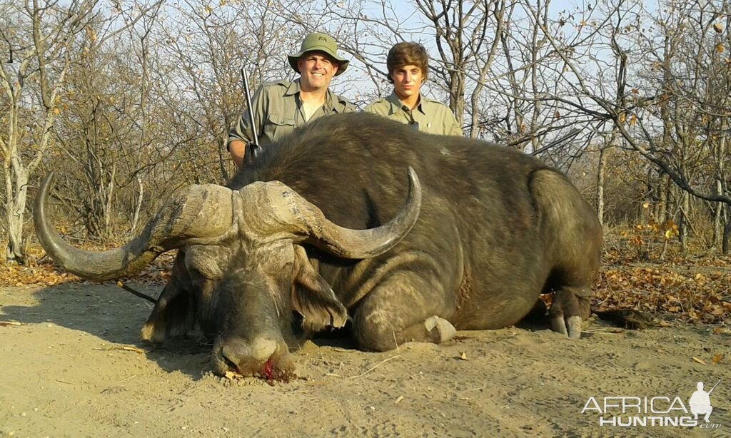 Zimbabwe Hunting Buffalo