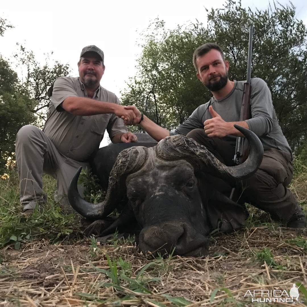 Zimbabwe Hunting Buffalo