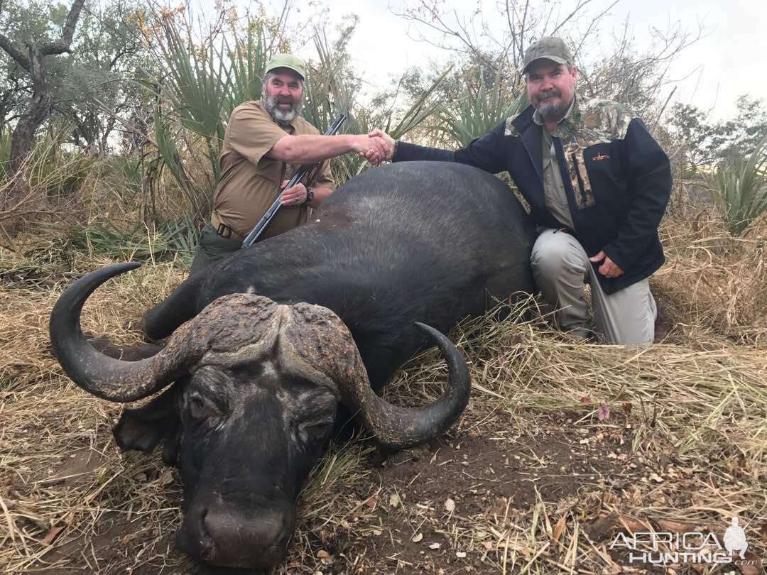 Zimbabwe Hunting Buffalo