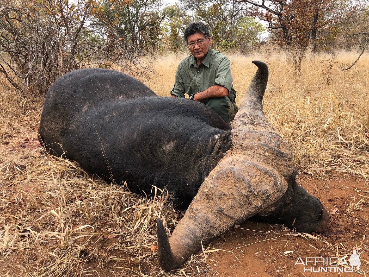 Zimbabwe Hunting Buffalo