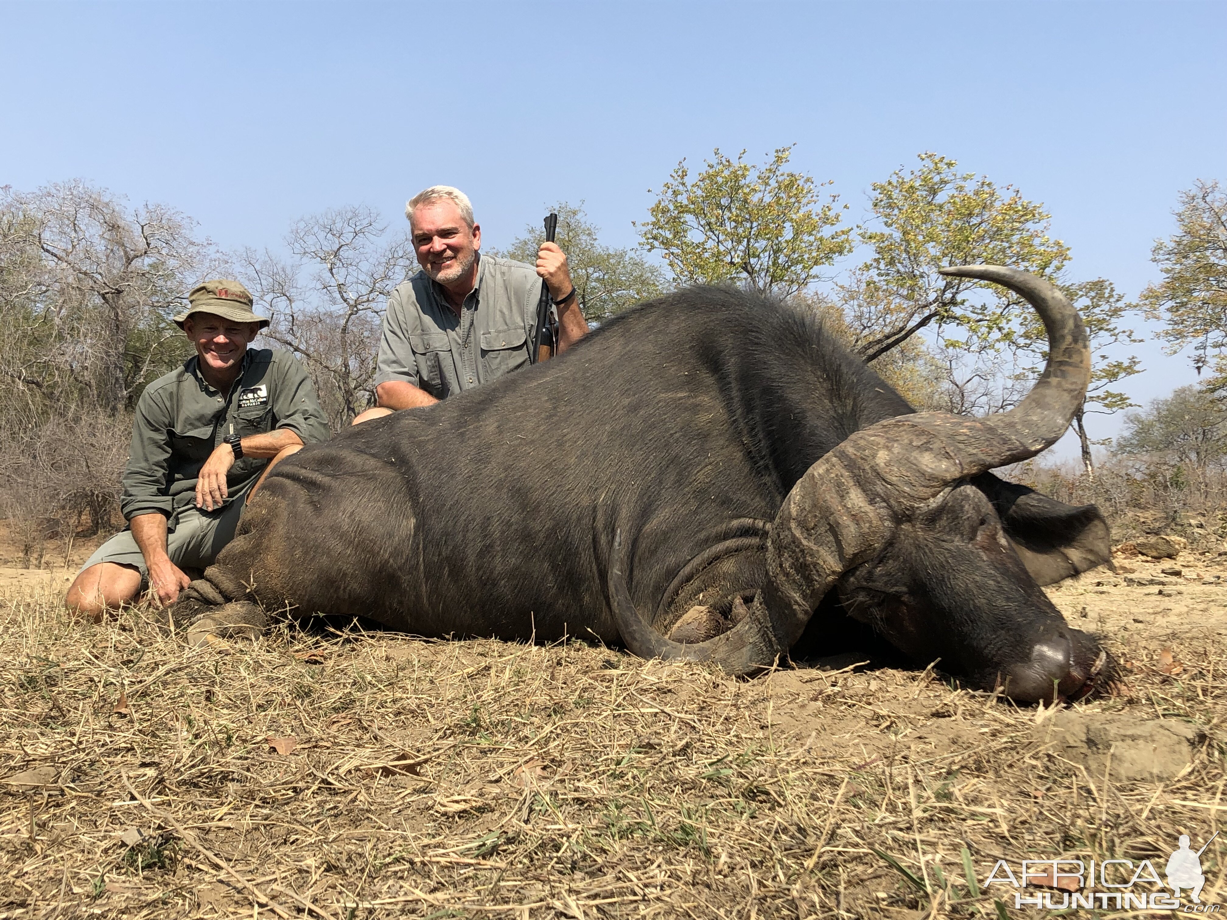 Zimbabwe Hunting Buffalo