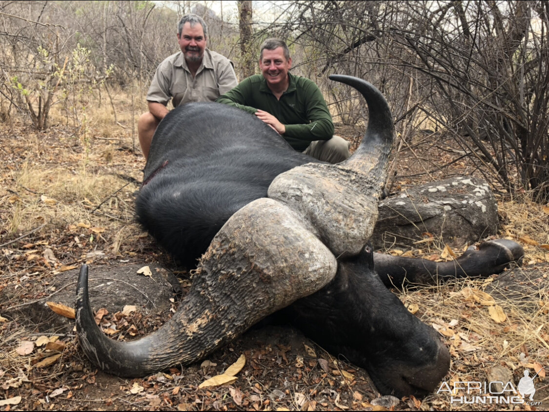 Zimbabwe Hunting Buffalo