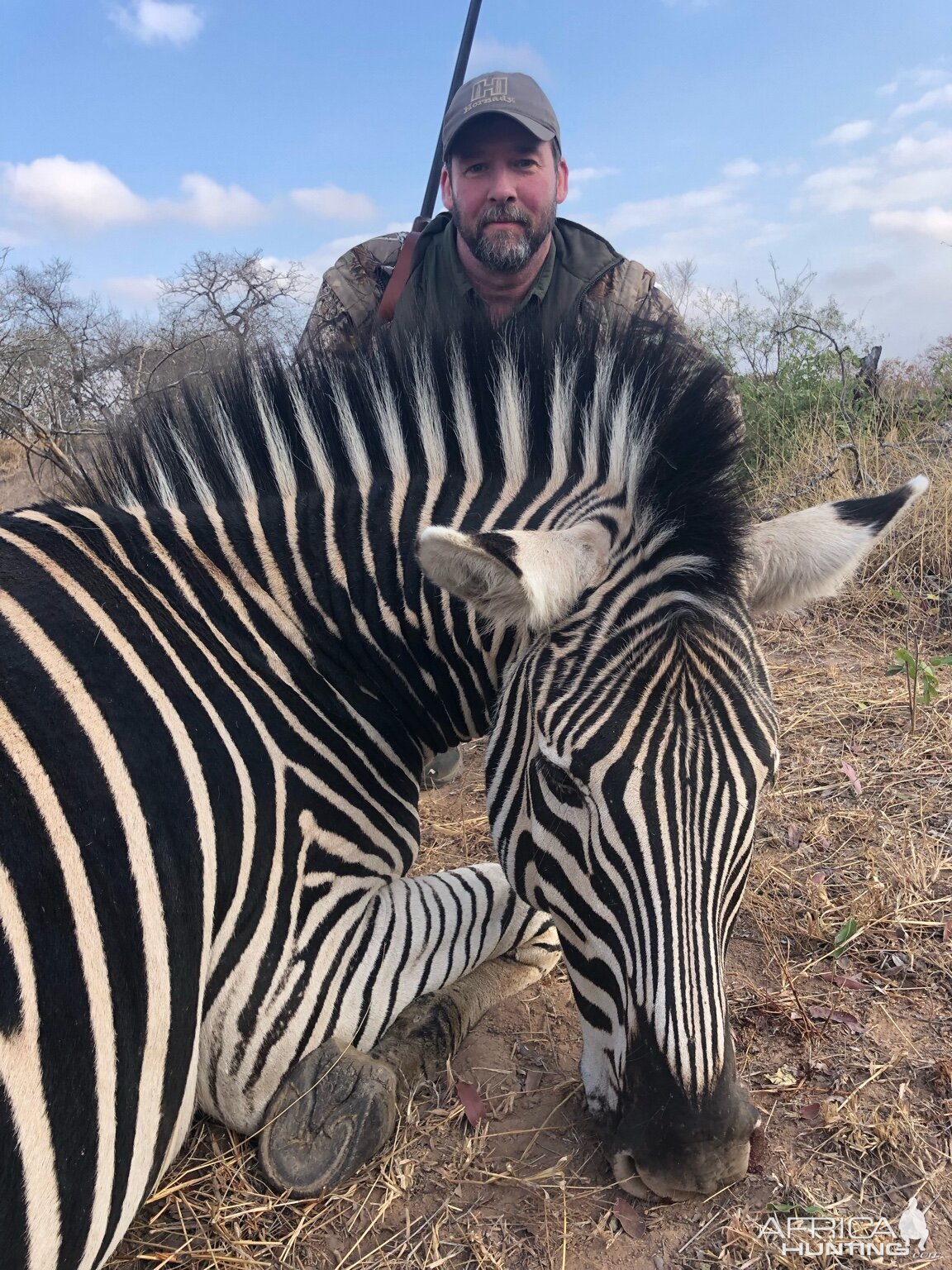 Zimbabwe Hunting Burchell's Plain Zebra