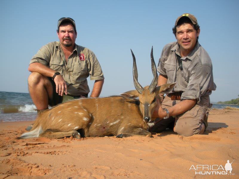 Zimbabwe Hunting Bushbuck