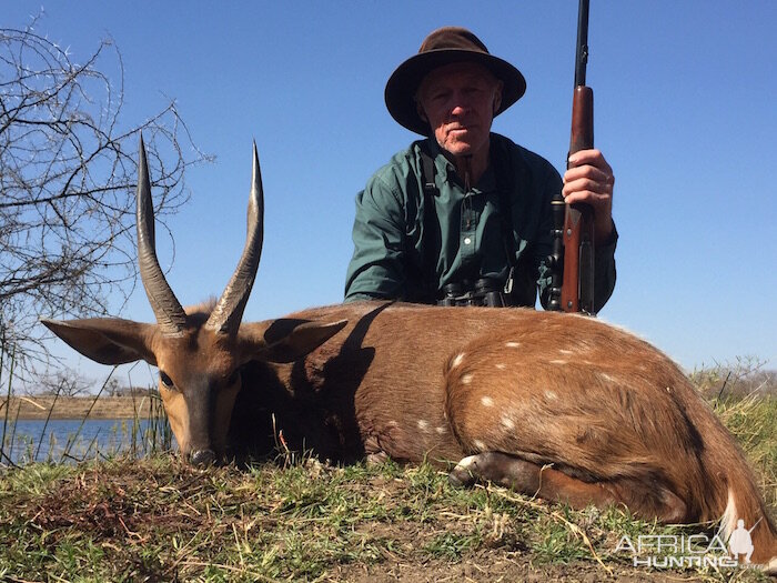 Zimbabwe Hunting Bushbuck