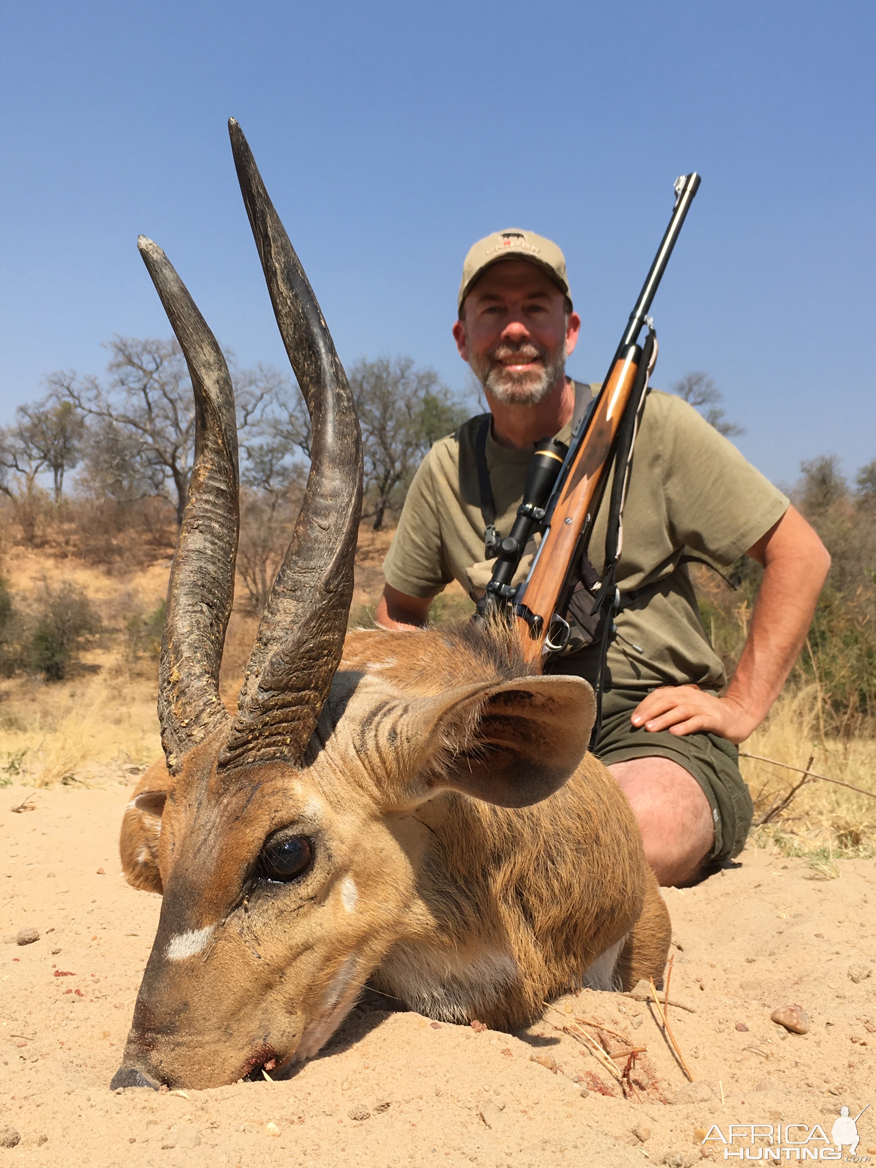 Zimbabwe Hunting Bushbuck