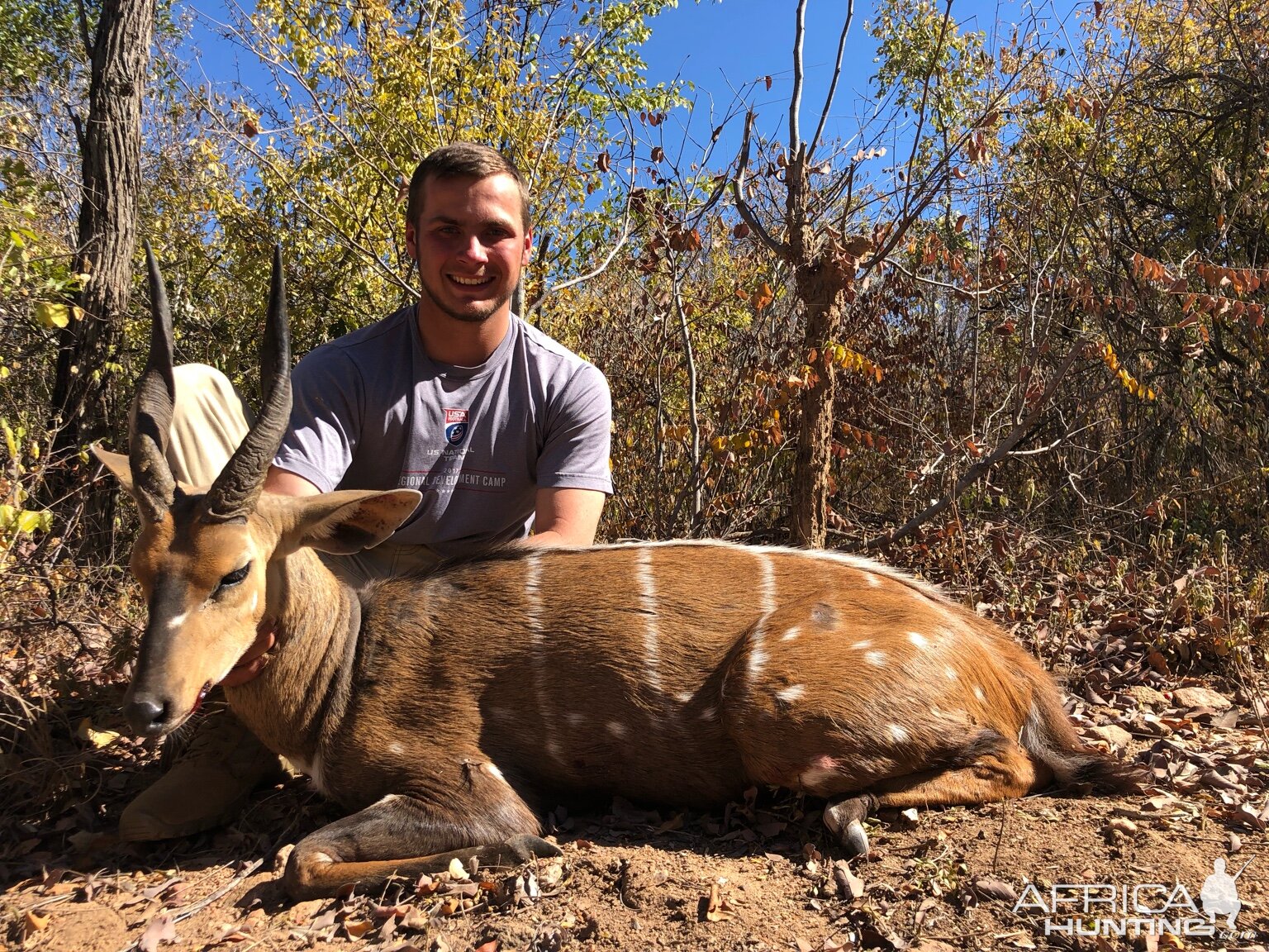 Zimbabwe Hunting Bushbuck