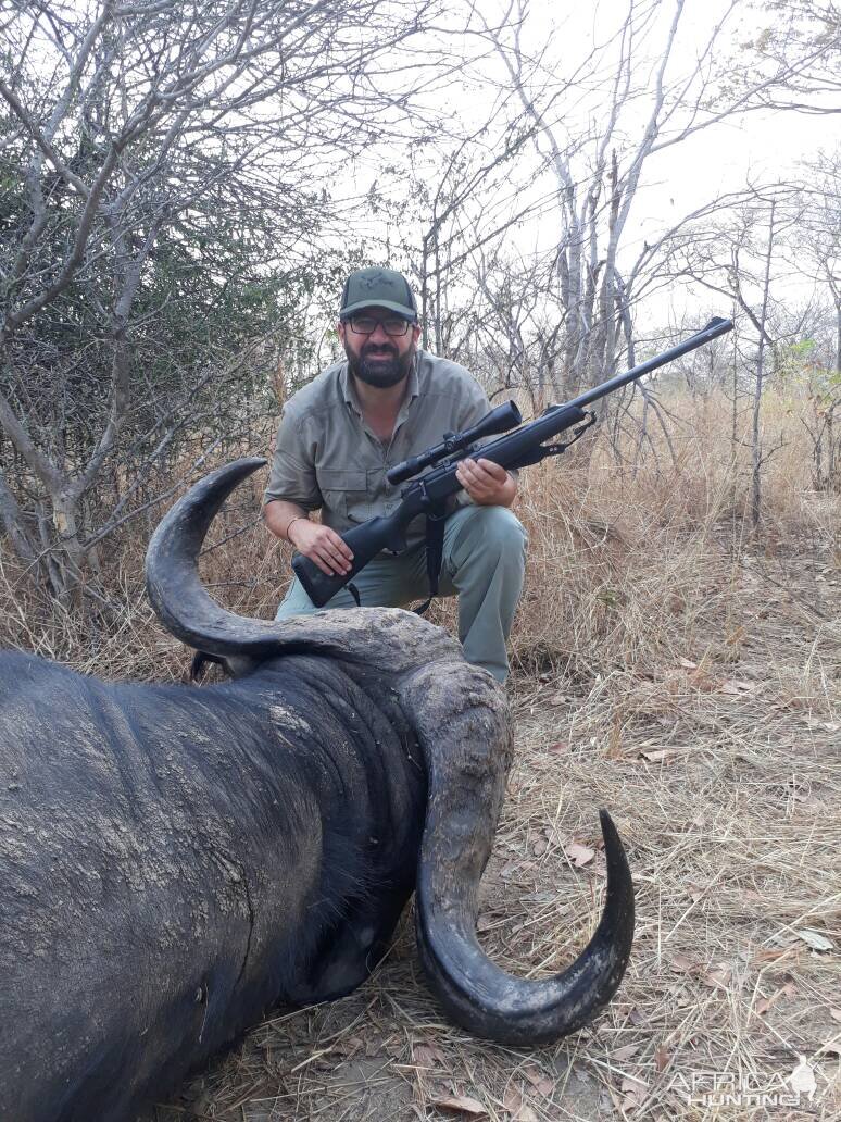 Zimbabwe Hunting Cape Buffalo