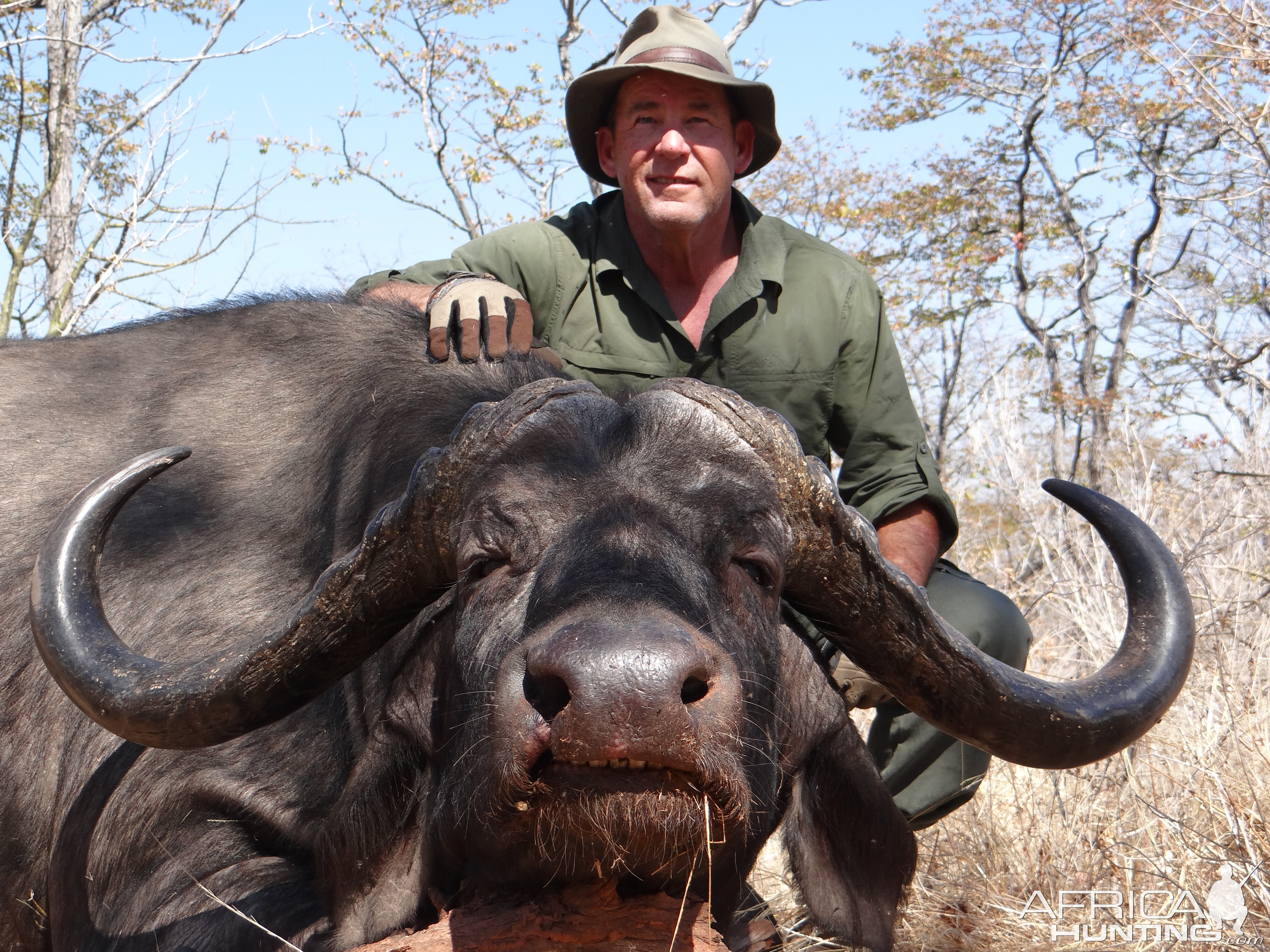 Zimbabwe Hunting Cape Buffalo