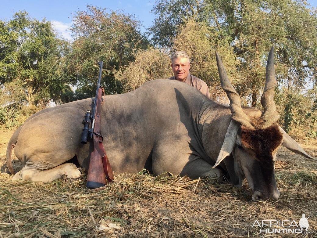 Zimbabwe Hunting Eland