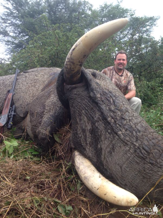 Zimbabwe Hunting Elephant