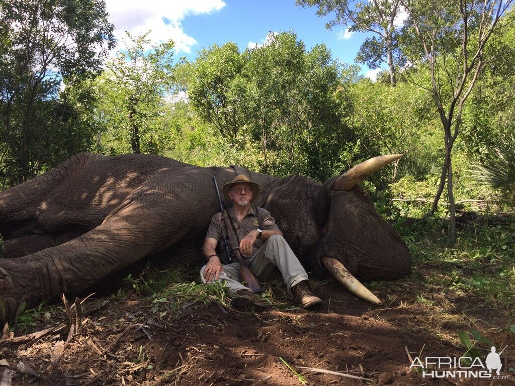 Zimbabwe Hunting Elephant