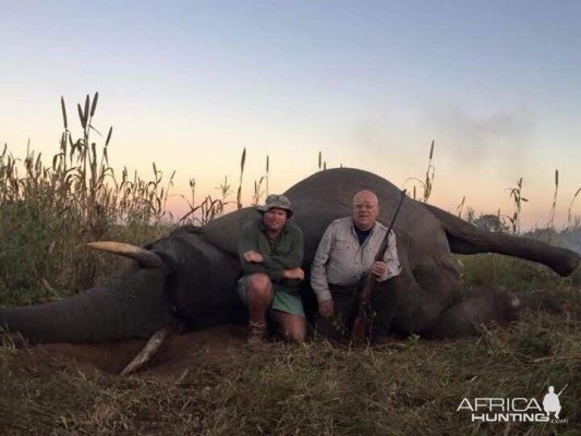 Zimbabwe Hunting Elephant