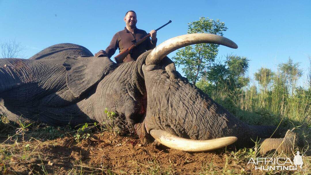 Zimbabwe Hunting Elephant