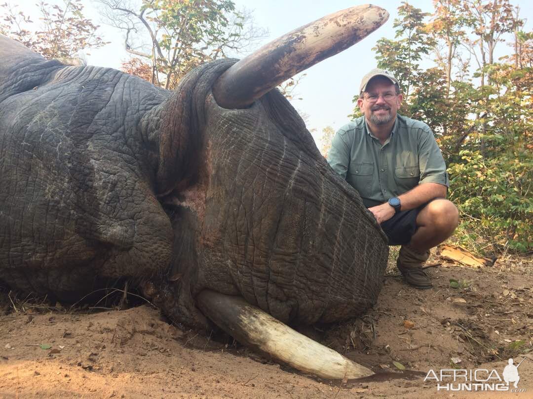 Zimbabwe Hunting Elephant