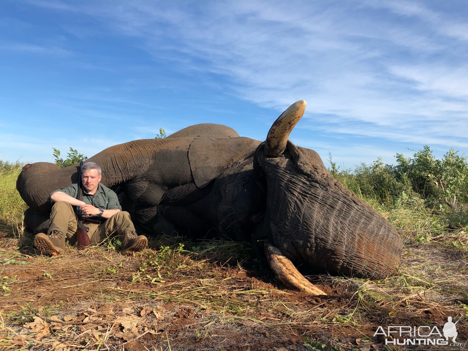 Zimbabwe Hunting Elephant