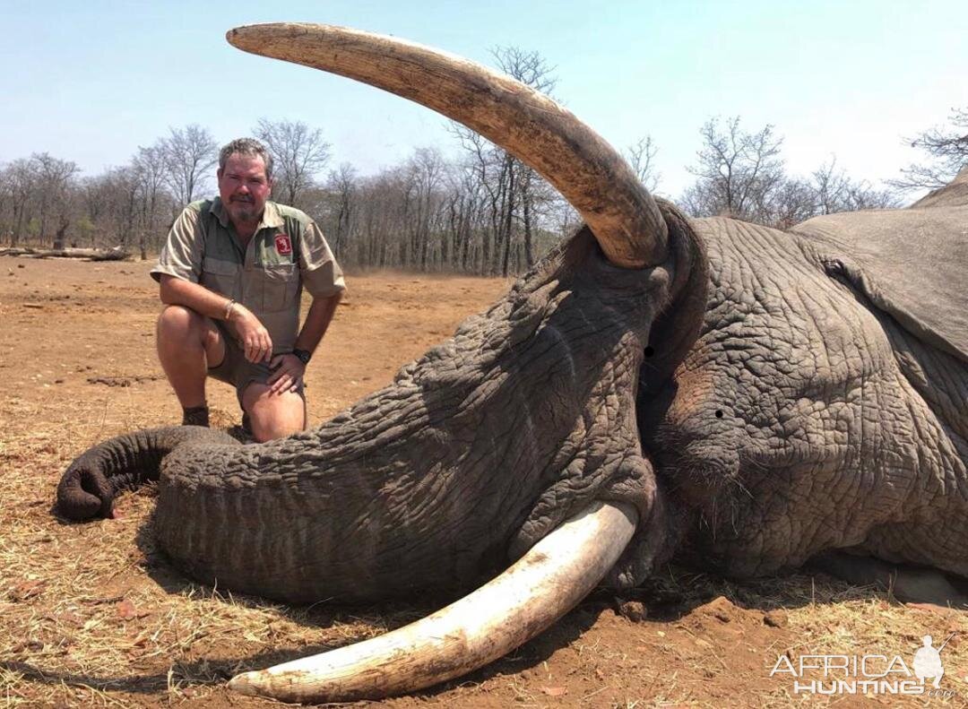 Zimbabwe Hunting Elephant