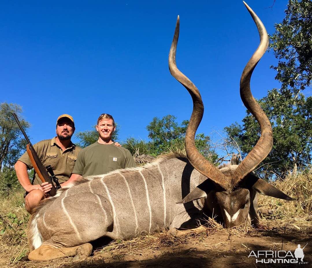 Zimbabwe Hunting Kudu