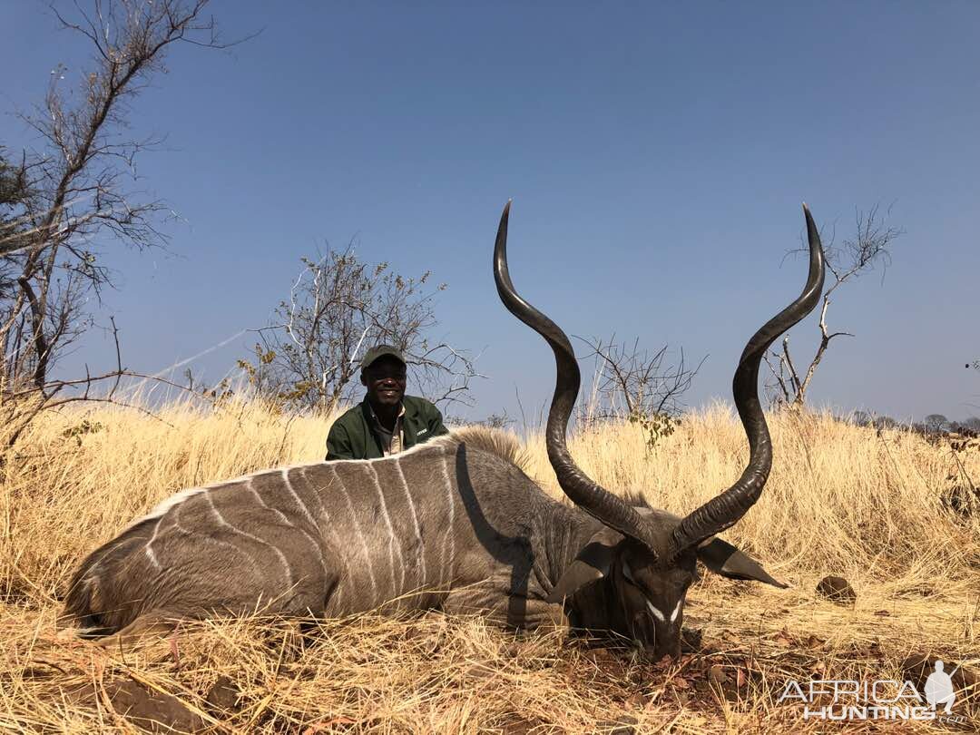 Zimbabwe Hunting Kudu