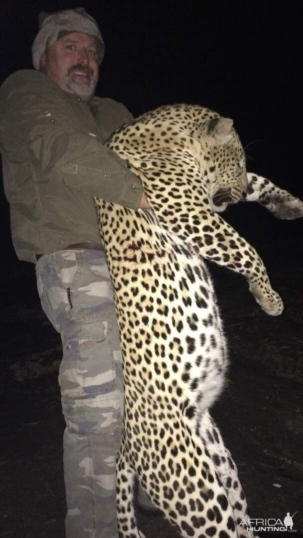 Zimbabwe Hunting Leopard