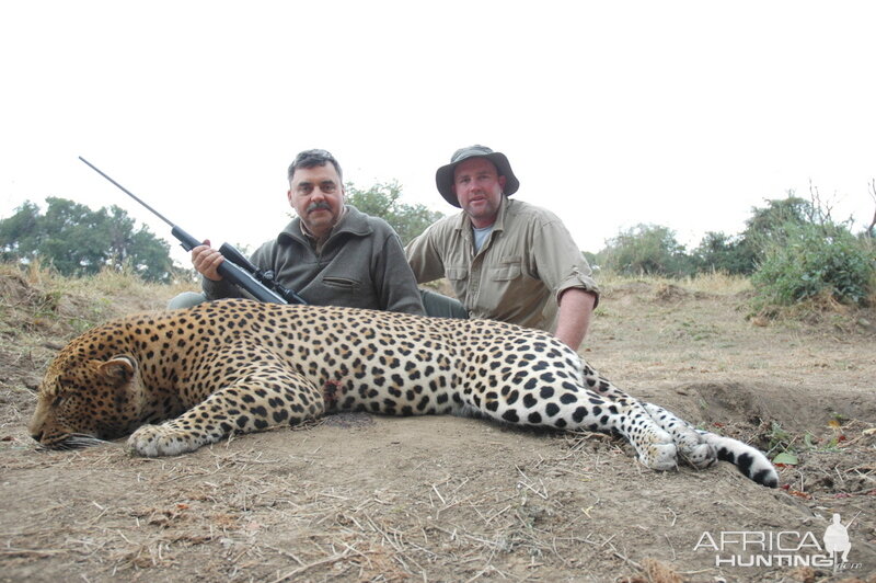 Zimbabwe Hunting Leopard