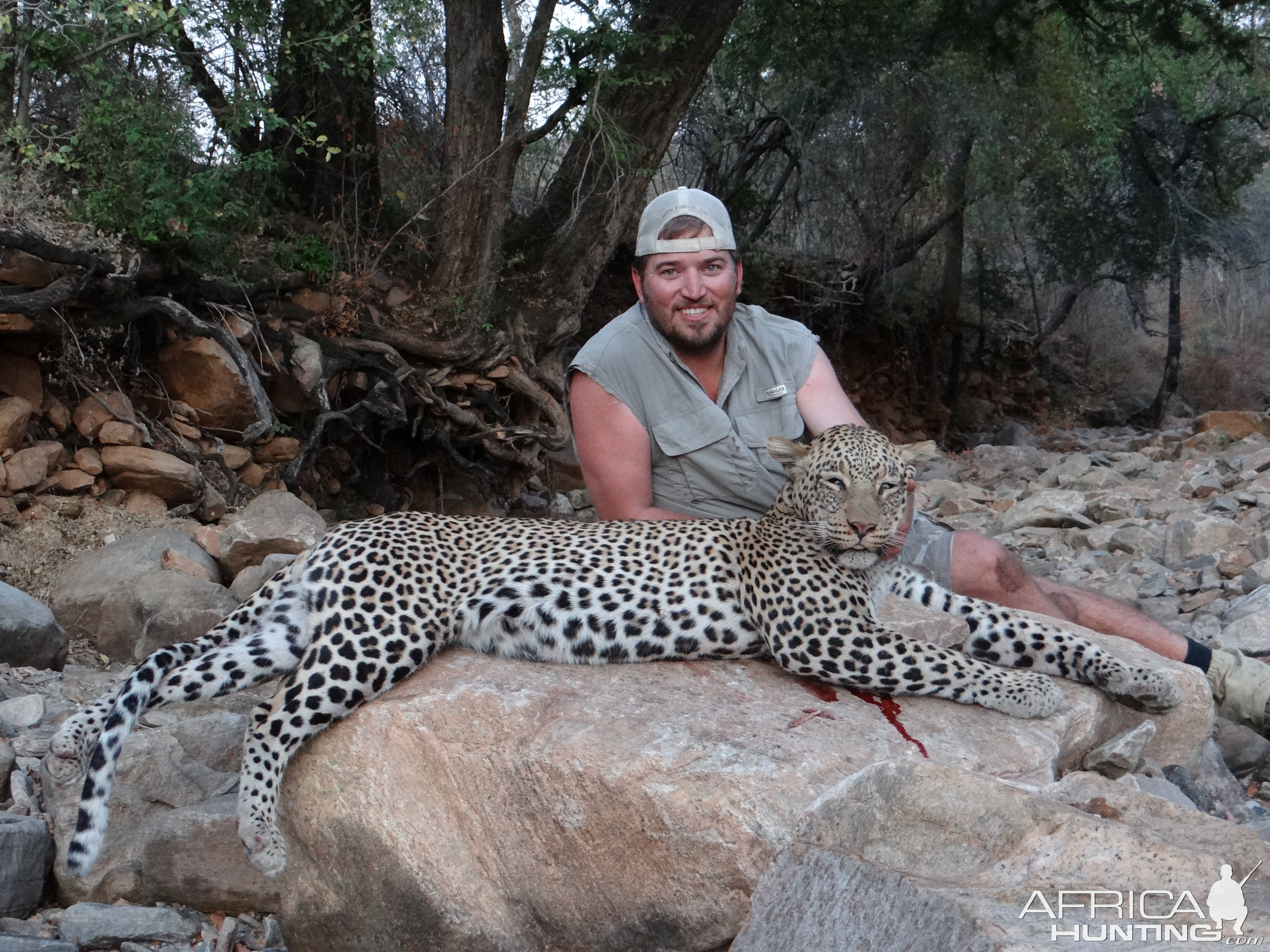 Zimbabwe Hunting Leopard