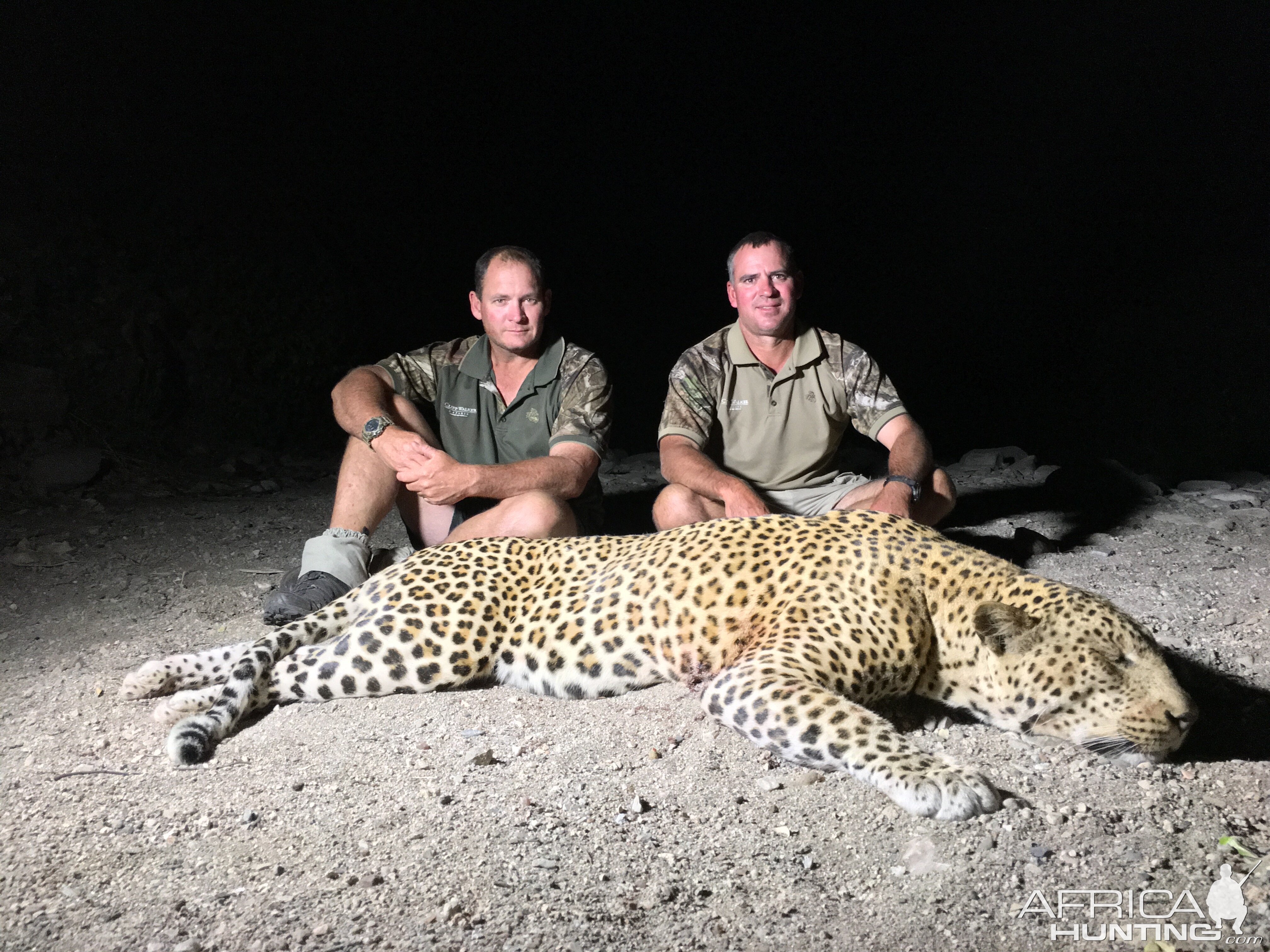 Zimbabwe Hunting Leopard