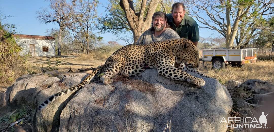 Zimbabwe Hunting Leopard