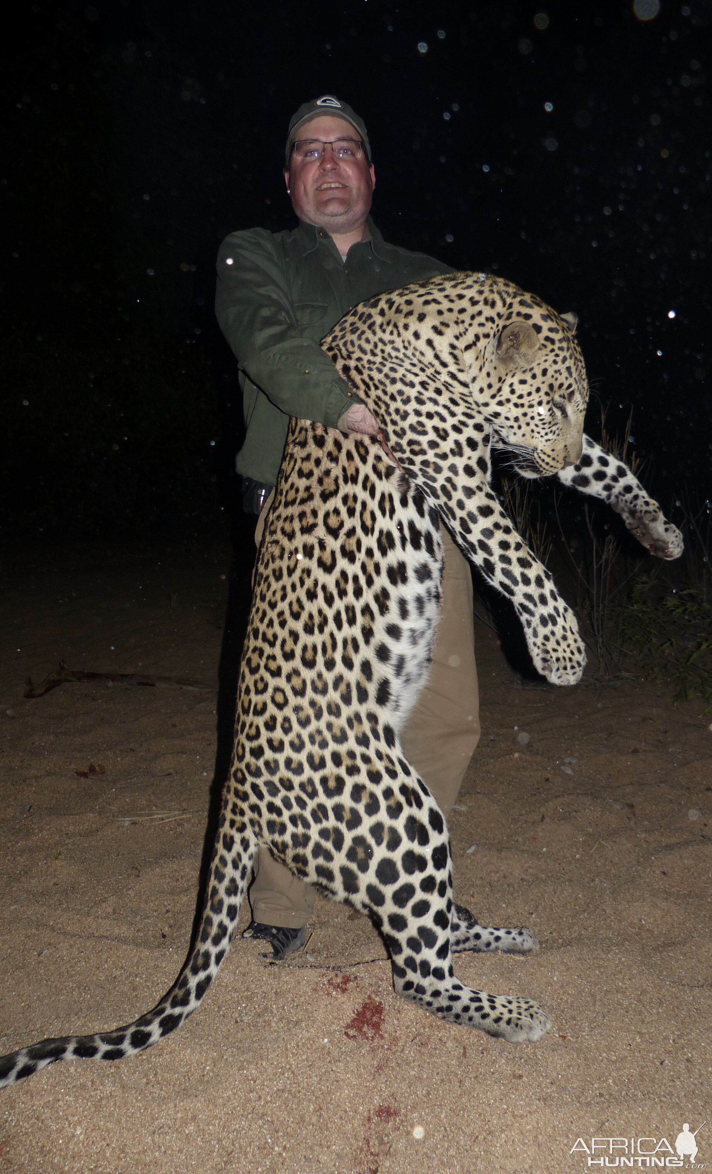 Zimbabwe Hunting Leopard