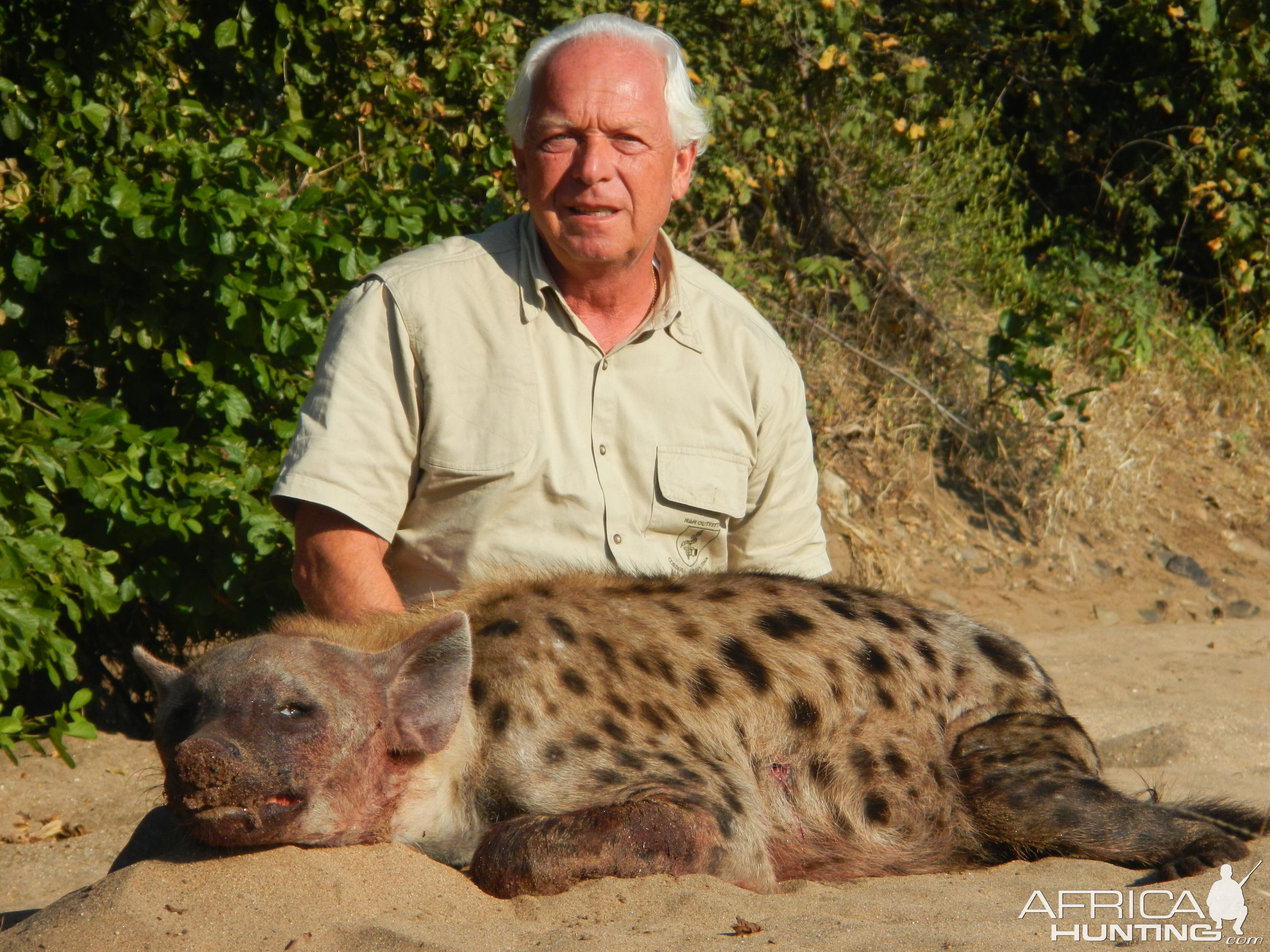 Zimbabwe Hunting Spotted Hyena