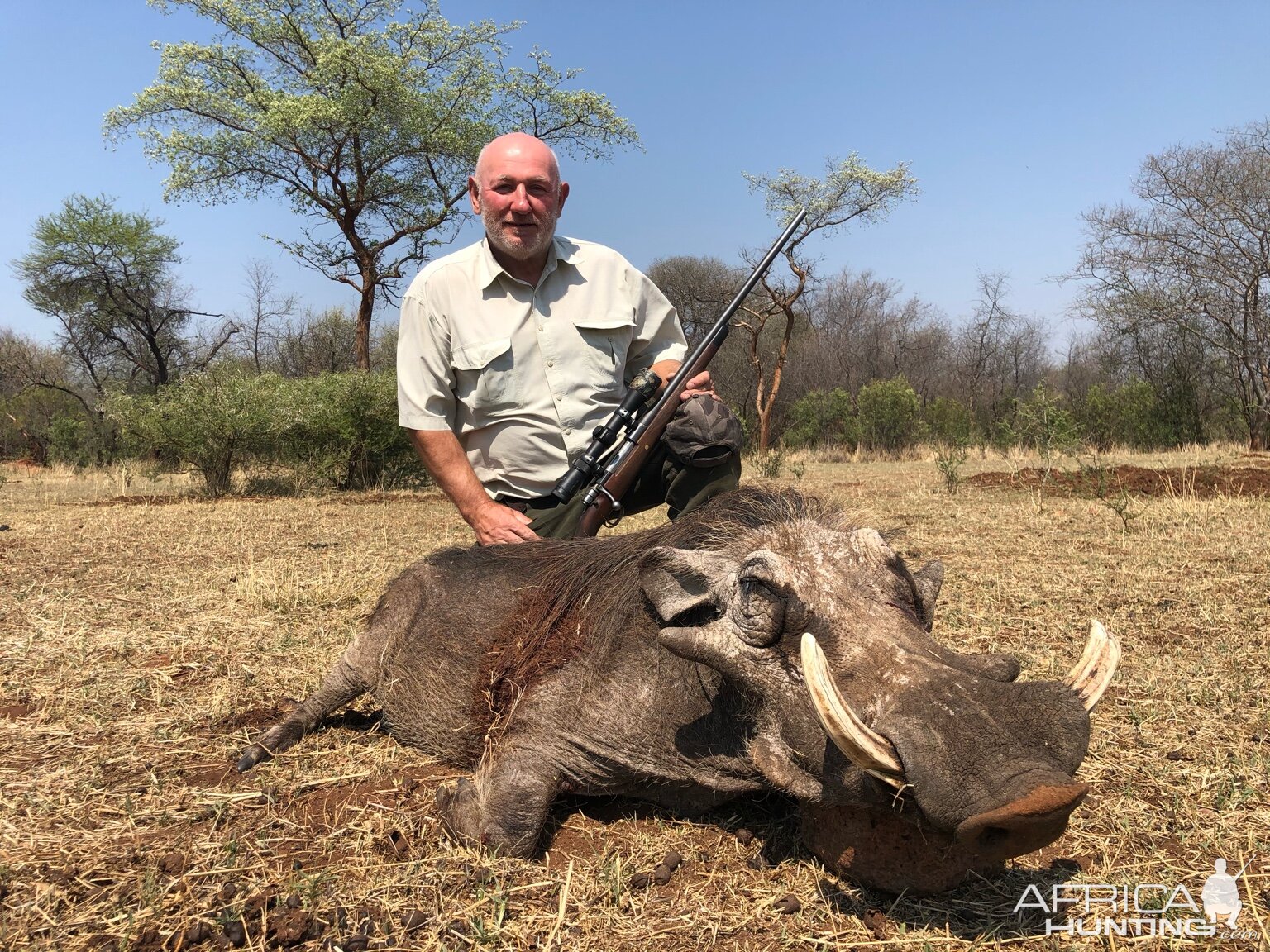 Zimbabwe Hunting Warthog