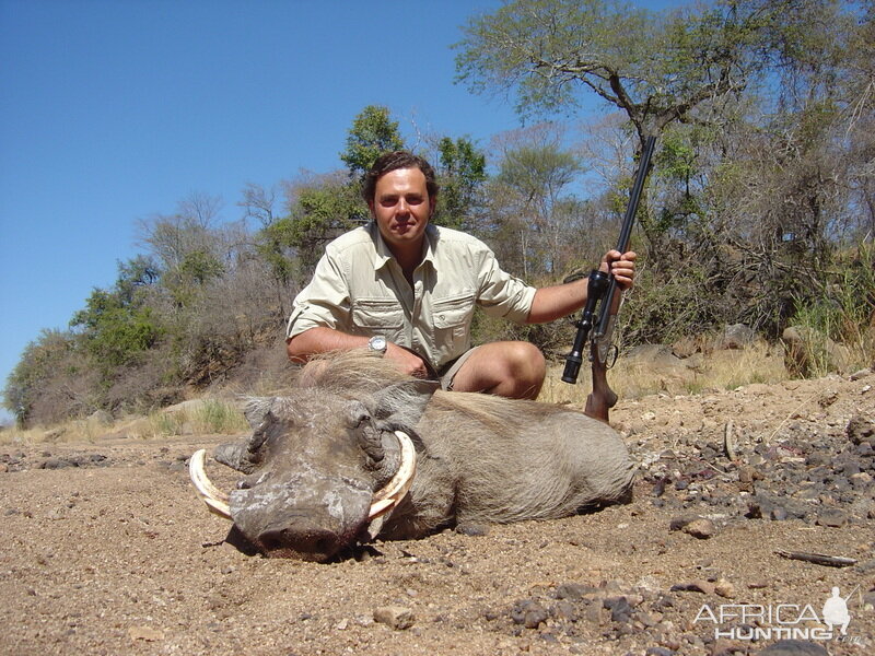 Zimbabwe Hunting Warthog