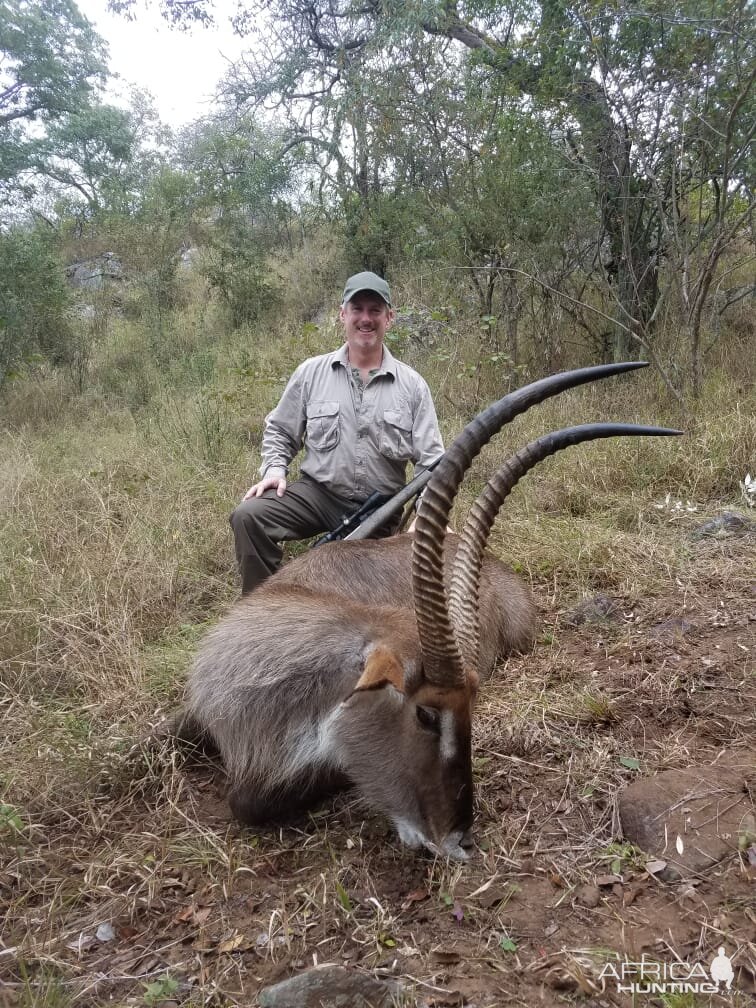 Zimbabwe Hunting Waterbuck