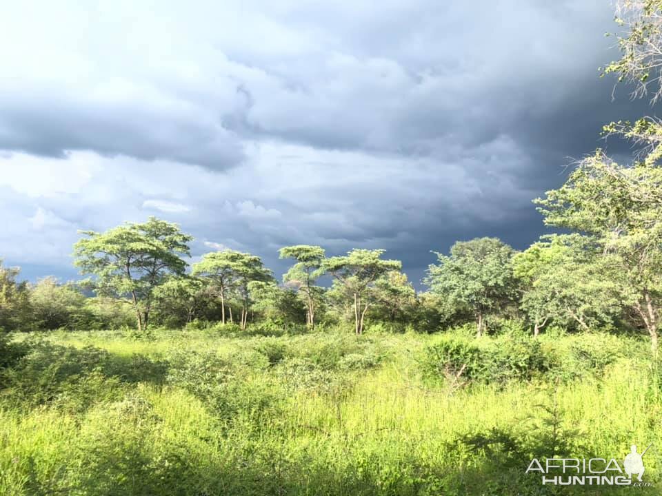 Zimbabwe Hunting