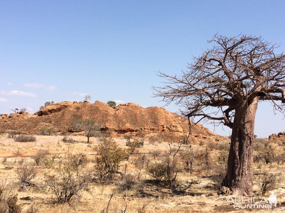 Zimbabwe Landscape