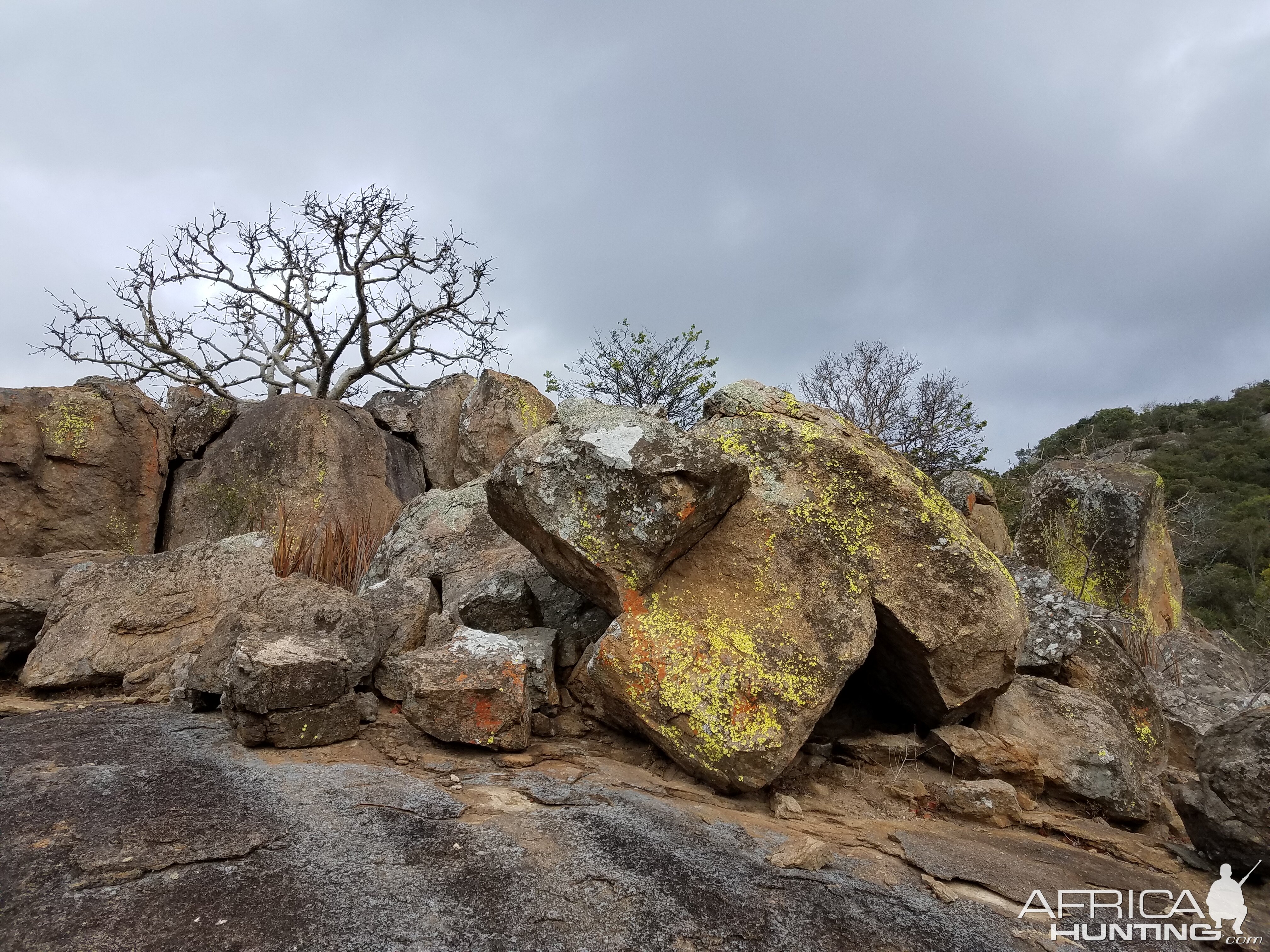 Zimbabwe Landscape