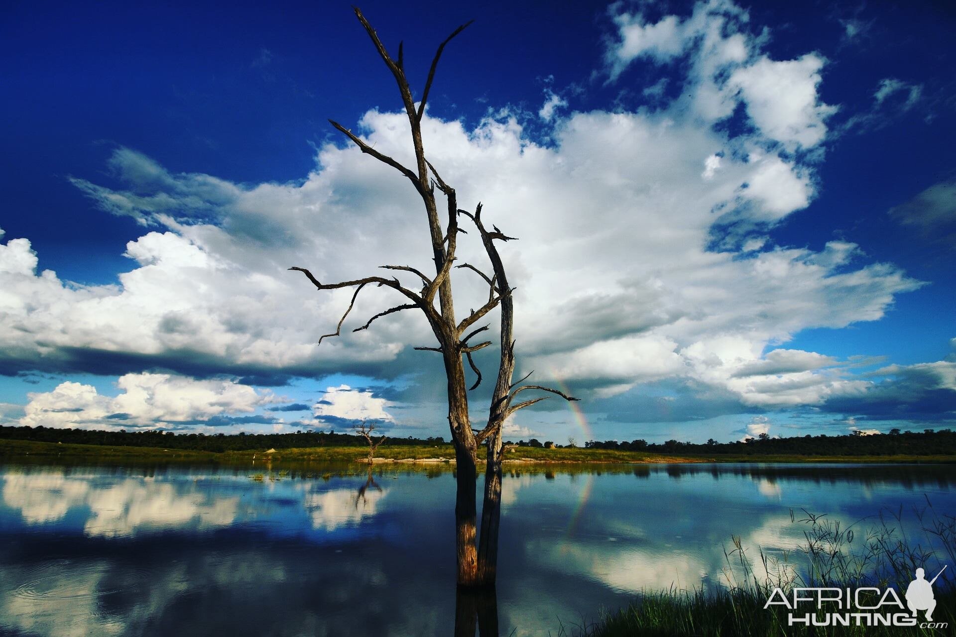 Zimbabwe Landscape