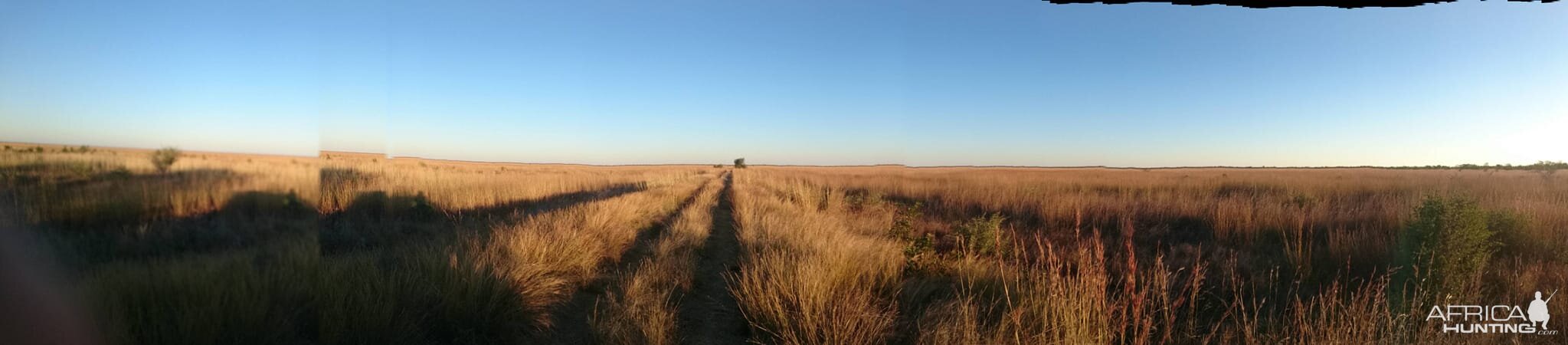 Zimbabwe Landscape