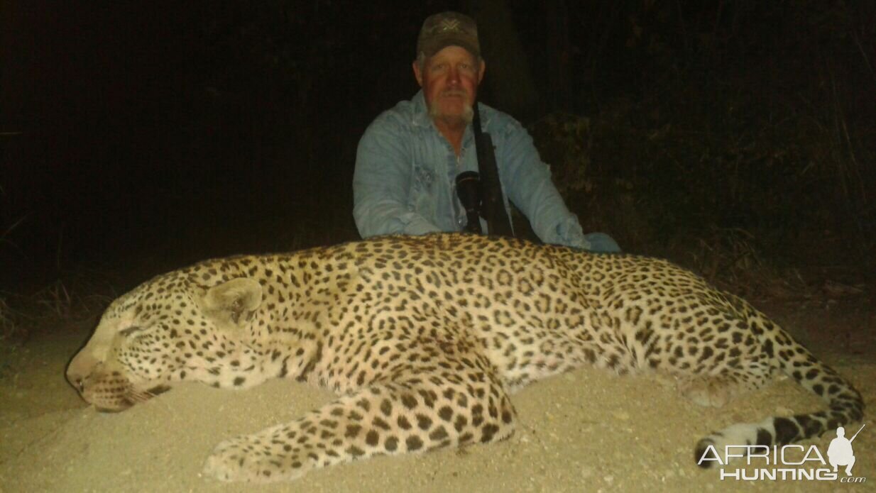 Zimbabwe Leopard Hunt