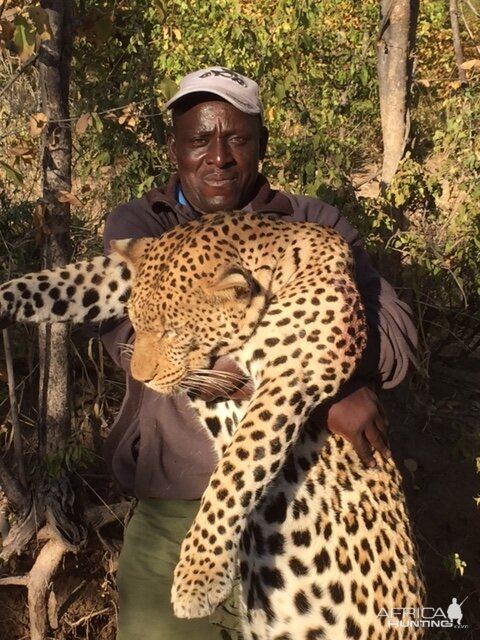 Zimbabwe Leopard Hunt