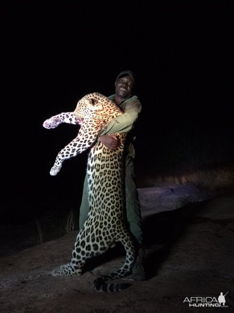 Zimbabwe Leopard Hunt