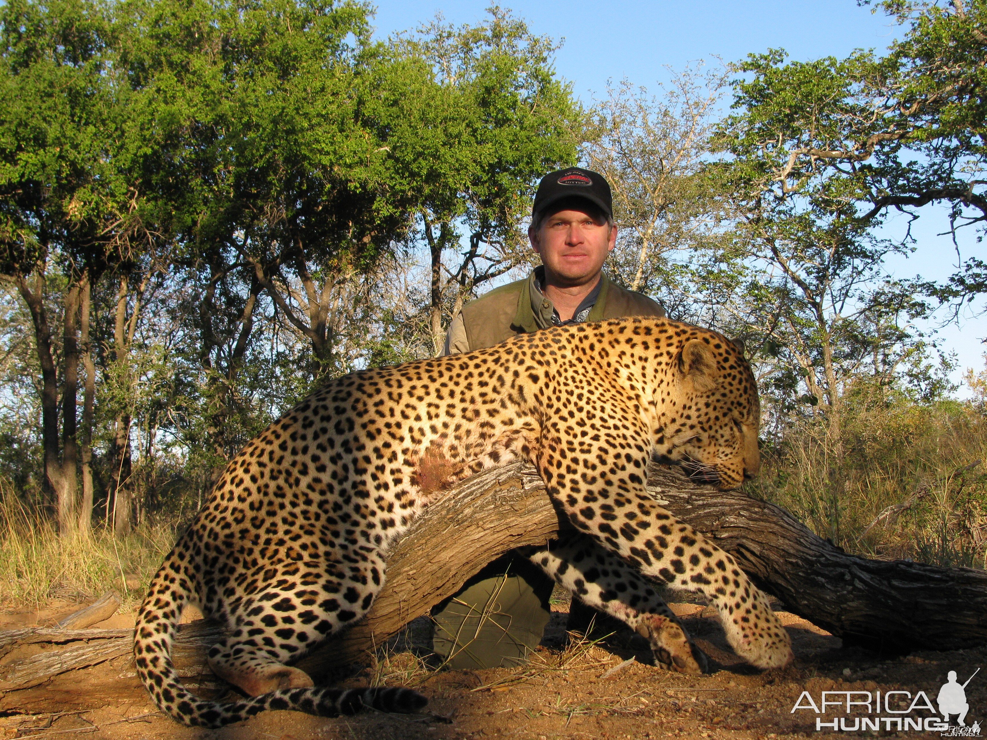 Zimbabwe Leopard