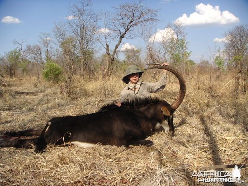 Zimbabwe Sable