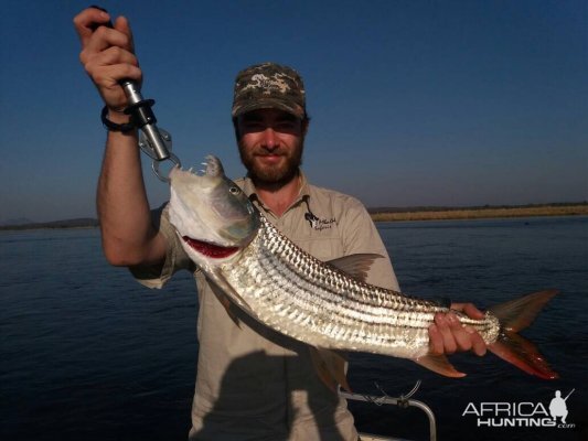 Zimbabwe Tiger Fishing