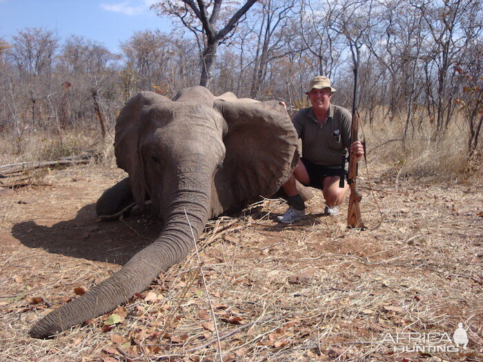 Zimbabwe Tuskless Elephant Hunting