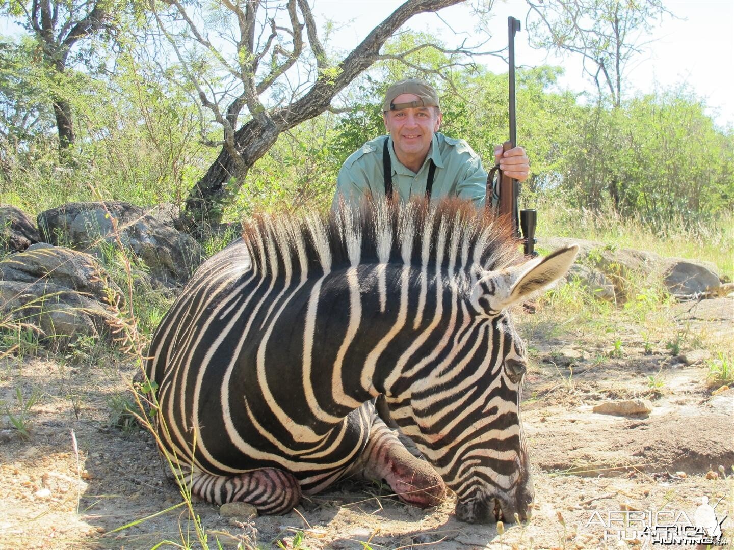 Zimbabwe Zebra, April 2013