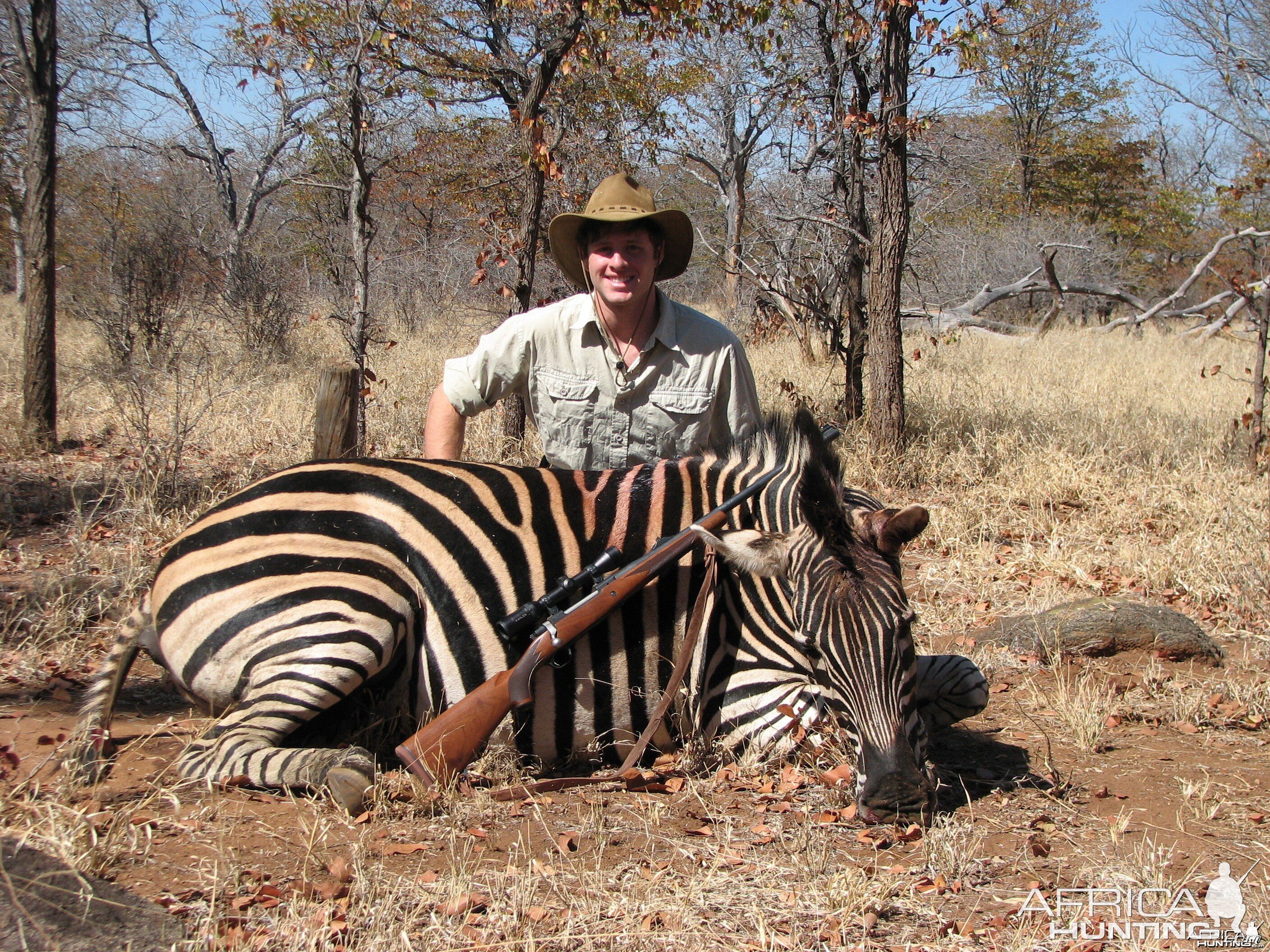 Zimbabwe Zebra